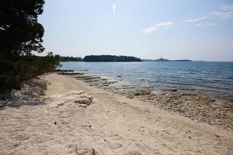 Rooms In Rovinj With A Sea View, Balcony, Air Conditioning, Wifi 81-2 Guest house