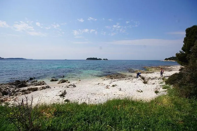 Guest house Rooms In Rovinj With A Sea View, Balcony, Air Conditioning, Wifi 81-2 Croatia